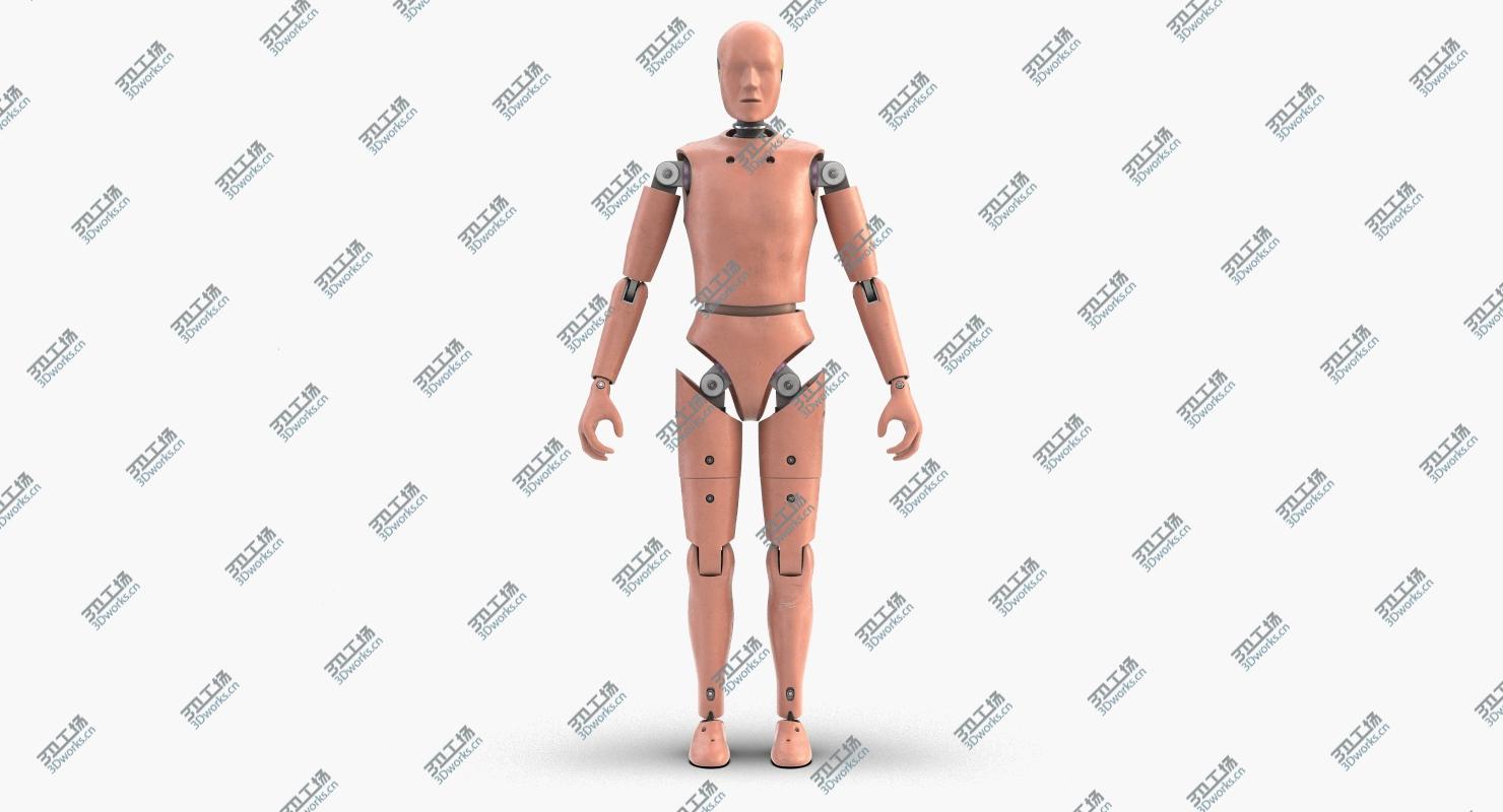 images/goods_img/20210319/Crash Test Dummy 1 3D model/3.jpg